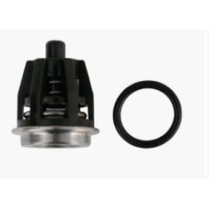 KIT DOLLY 1 NEW - VALVOLINE + O-RING