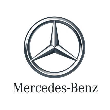 Chiave Speciale Per Tappi Olio In Plastica Motori Mercedes - Beta 1494MRC