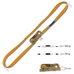 SISTEMI AD ANELLO LC1500KG  MT.5 8185