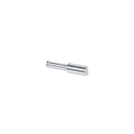 Perno Per 3043C - Beta 3043C/ 41 Ducati
