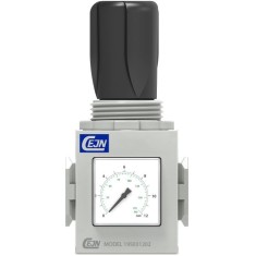 REGOLATORE CEJN 651 1/8"