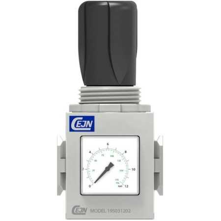 REGOLATORE CEJN 651 1/8"