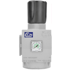 REGOLATORE CEJN 1"