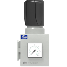 REGOLATORE CEJN 652 1/2"