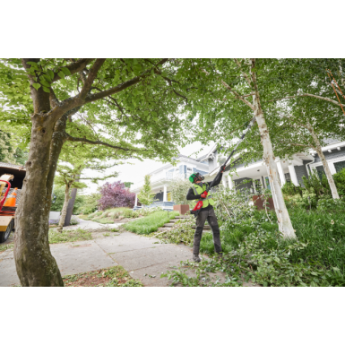 Potatore ad asta telescopico M18 FUEL™ 30 cm M18 FTPS30-121