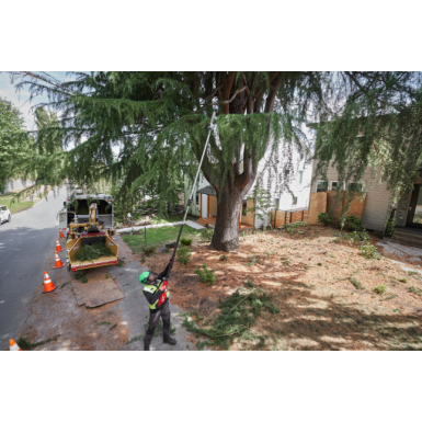 Potatore ad asta telescopico M18 FUEL™ 30 cm M18 FTPS30-121