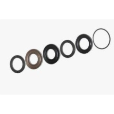 Kit Dolly 100HP tenute acqua, alta temperatura O-Rings ø20
