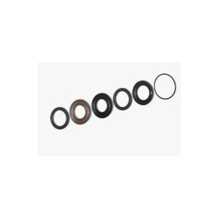 Kit Dolly 100HP tenute acqua, alta temperatura O-Rings ø20