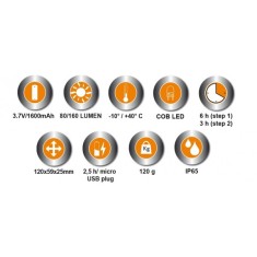 LAMPADA A PENNA BETA 1838P 2