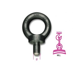 GOLFARI MASCHIO DIN 580 M6 ART. 8040EZ