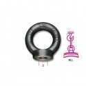 GOLFARI FEMMINA ZINCATI DIN 582 M6 ART. 8042EZ