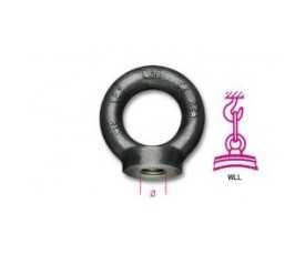 Golfari femmina DIN 582 8042EN